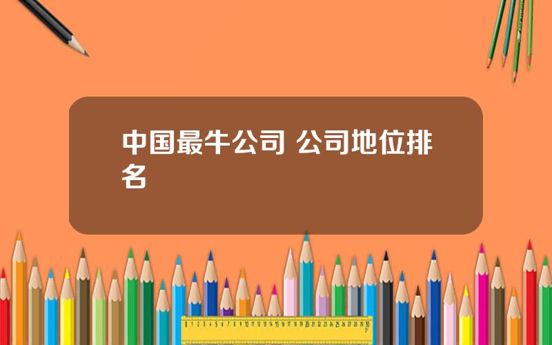 中国最牛公司 公司地位排名